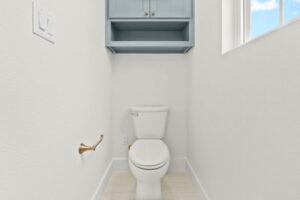 Toilet remodel